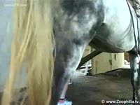 [ Animal XXX Movie ] Amazing horse fucking MILF takes thick knob in her slit